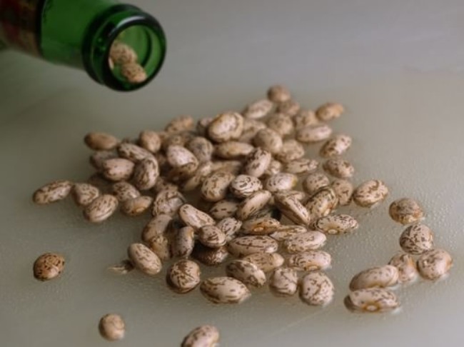 Drunken Beans (Frijoles Borrachos)